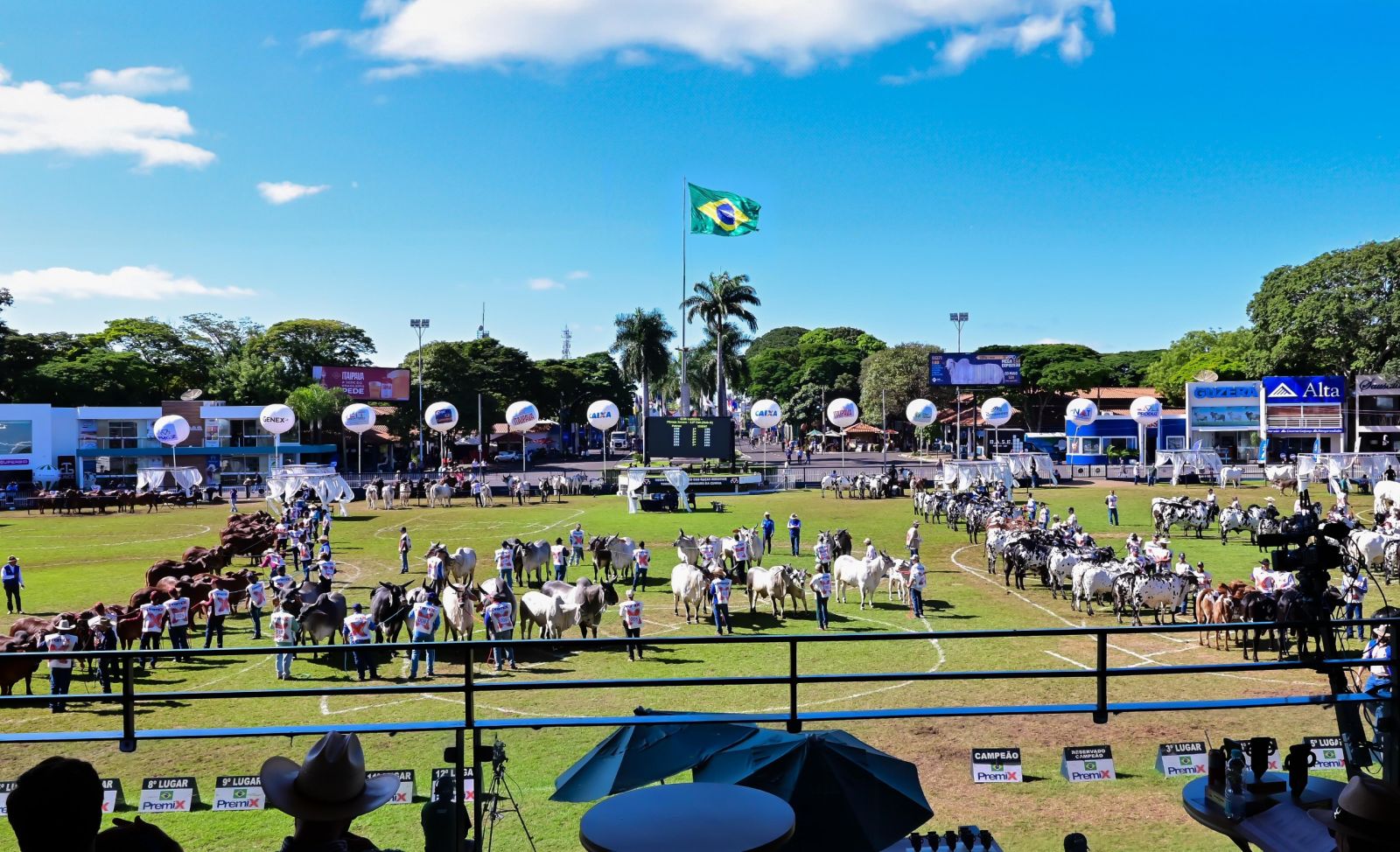 90ª ExpoZebu: edição histórica da feira é marcada por crescimento e novos recordes