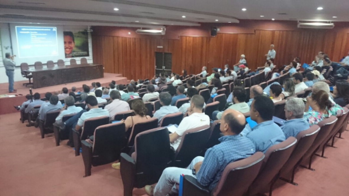 Campo Grande sedia Circuito 100% PMGZ