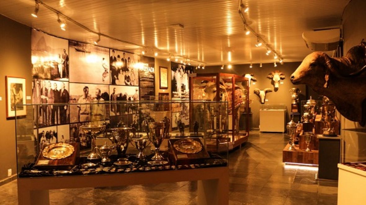 Exposição itinerante do Museu do Zebu marcará Dia de Campo