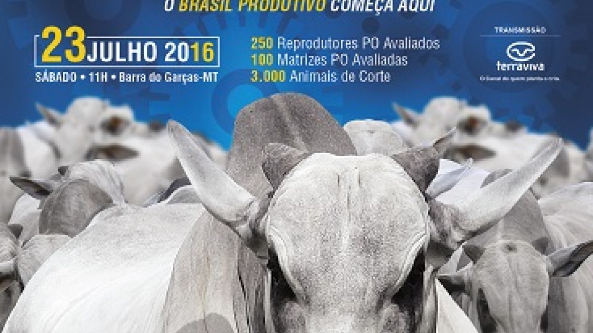 Fazenda Vera Cruz promove leilão com chancelas do PMGZ e Pró-Genética