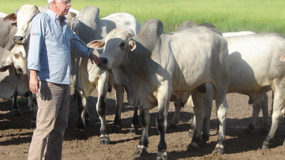Pecuária perde criador Ricardo Alonso