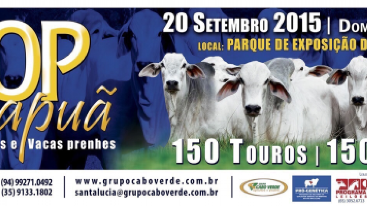 Oferta de Tabapuã com chancela Pró-Genética é destaque no Pará 