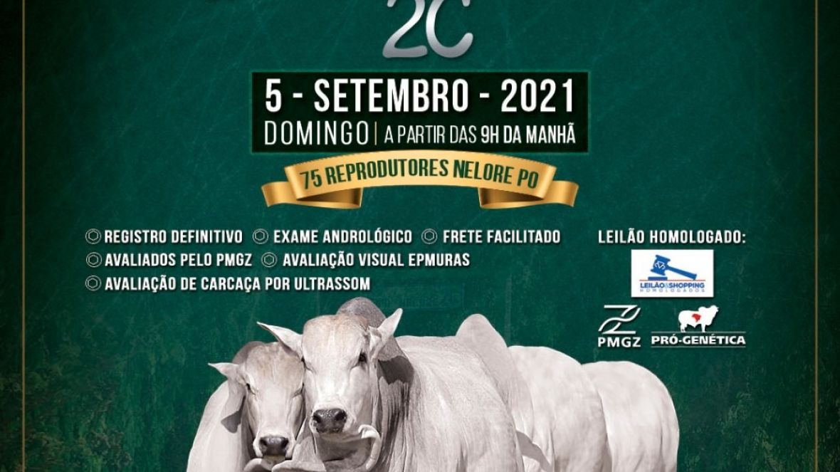 ‘Leilão Virtual Touros Cachoeira 2C’ será realizado no próximo domingo (5)