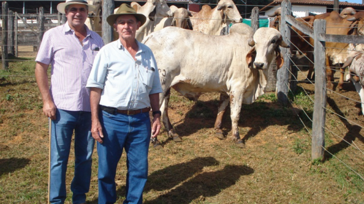 O Estado mais forte do Pró-Genética mantém ritmo de expansão 