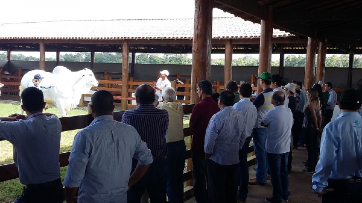 Espírito Santo sedia Dia de Campo, Capacitação e Circuito PMGZ
