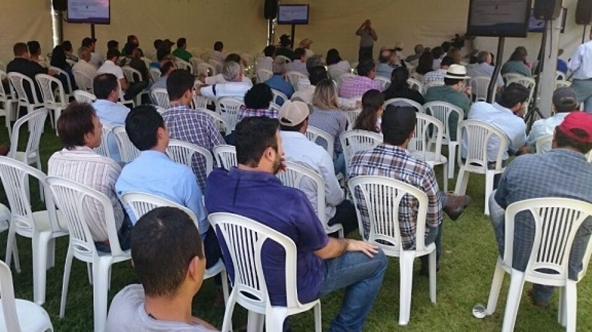 Dia de Campo reúne mais de 200 pecuaristas e técnicos no MS