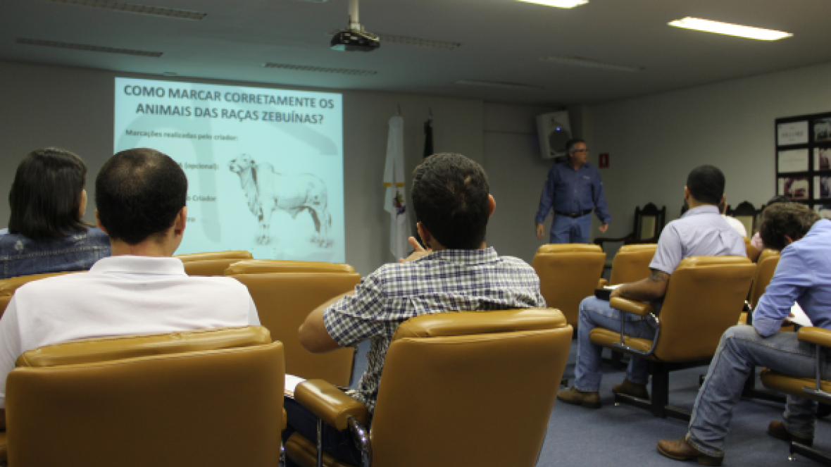 Curso de escrituração zootécnica reúne criadores e técnicos na ABCZ