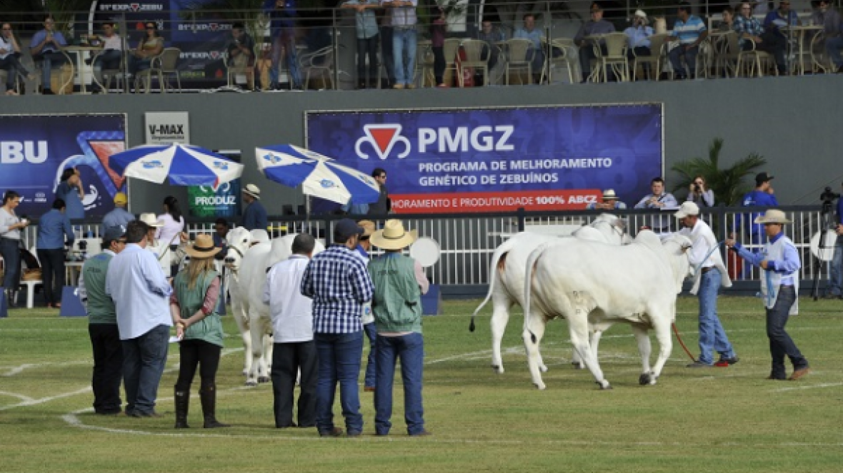 PMGZ terá ponto de atendimento e palestra na ExpoZebu