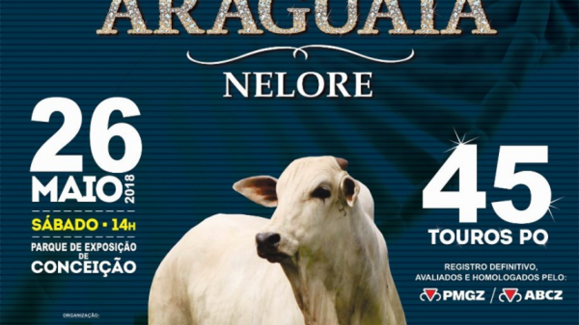 ?Joias do Araguaia? vai ofertar touros Nelore PO