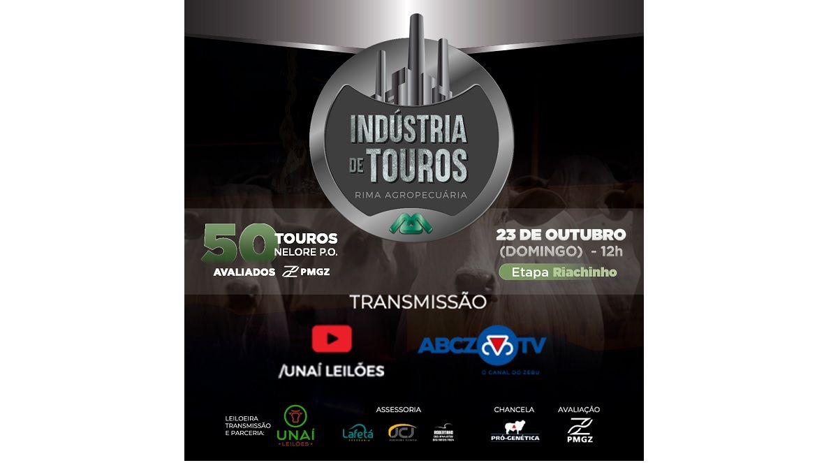 Rima Agropecuária oferta 50 touros Nelore PO no próximo domingo (23), em leilão com retransmissão pela ABCZ TV