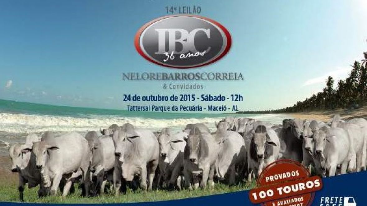 Animais com avaliação PMGZ destacam oferta no Nordeste