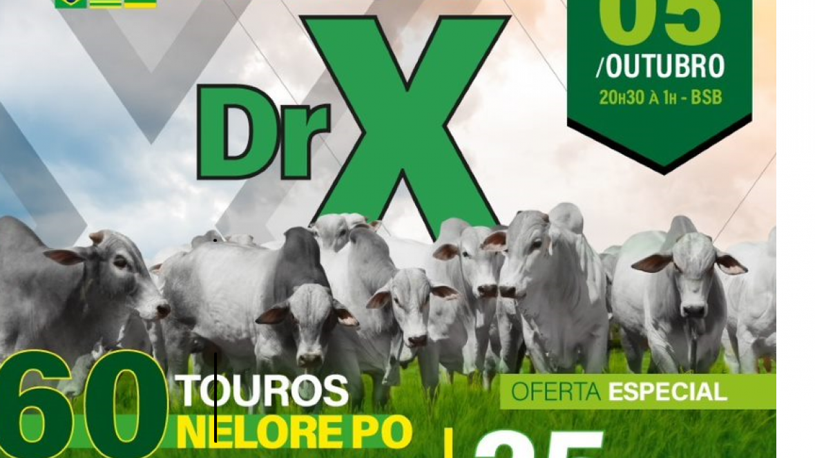 Vem aí o 1º Leilão DRX de Touros Nelore PO