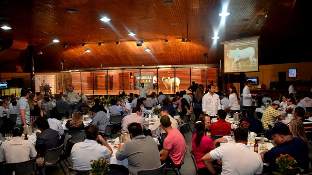  Leilões da ExpoGenética movimentam mais de R$ 8,5 milhões