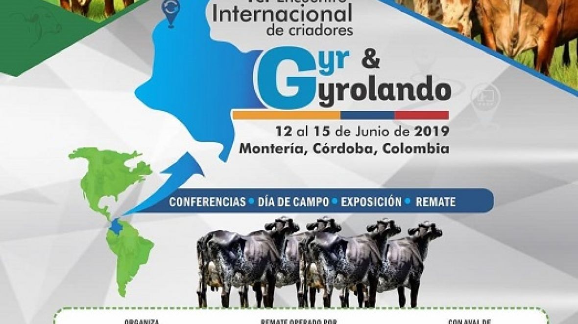 ABCZ participará de encontro internacional entre criadores de Gir e Girolando