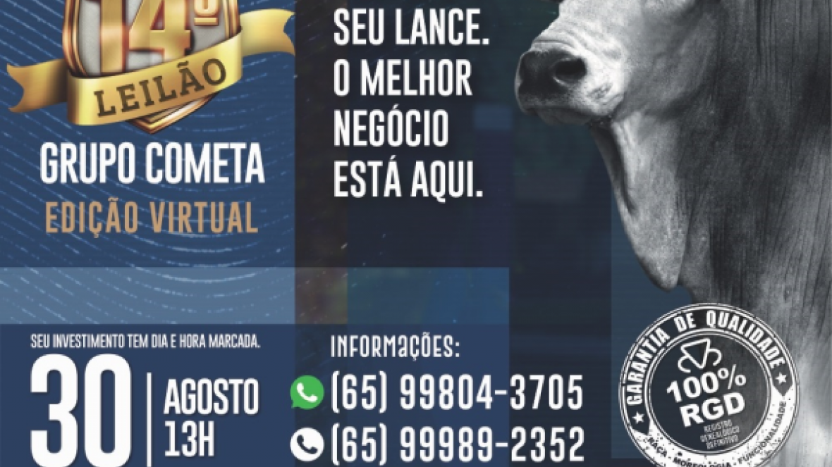 ?14º Leilão do Grupo Cometa? será realizado no próximo domingo (30)
