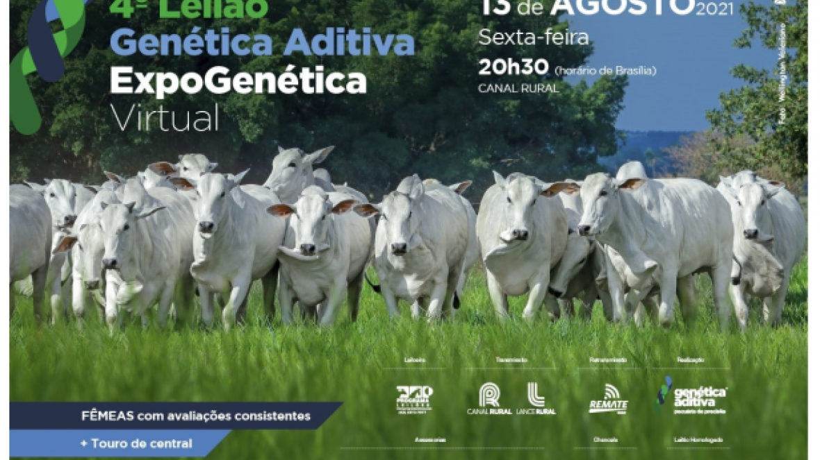 ‘4º Leilão Genética Aditiva Expogenética’ será realizado no próximo dia 13