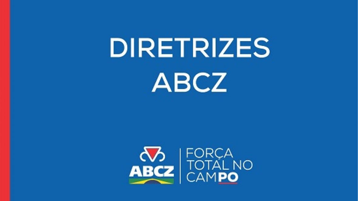 DIRETRIZES ABCZ