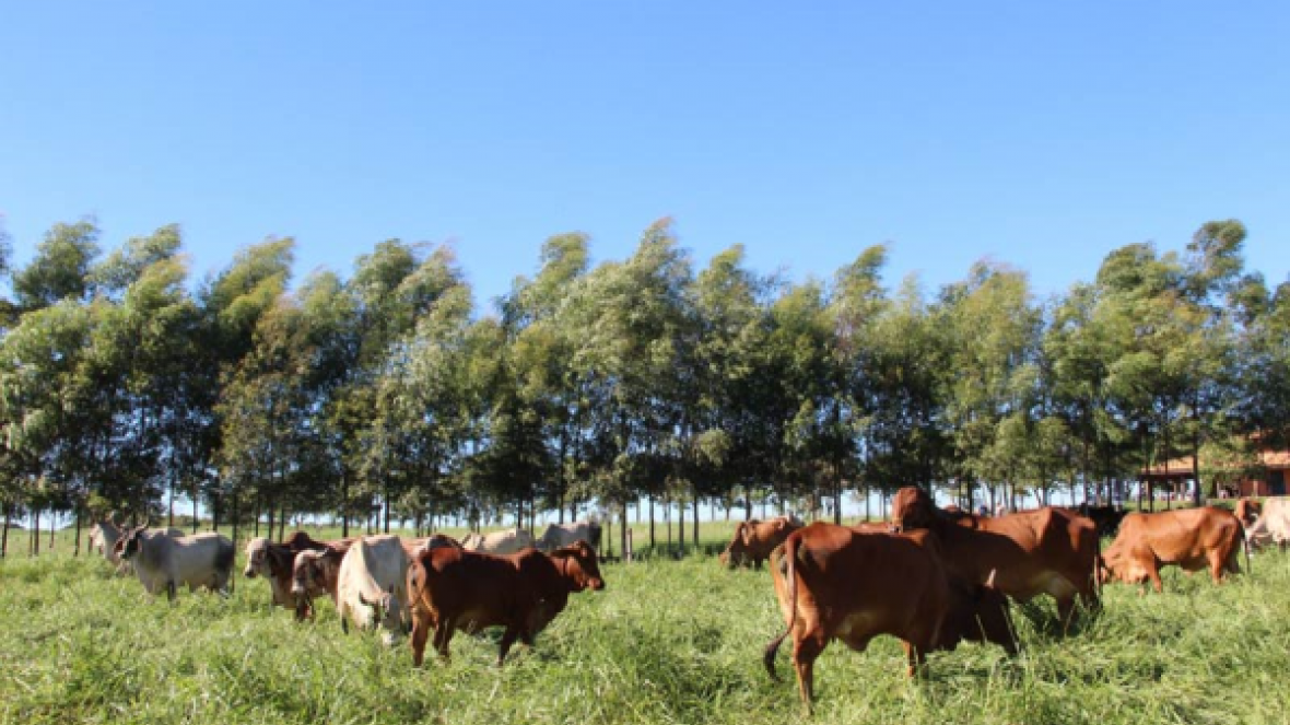 Inscrições para Concurso Leiteiro de Fazenda começam na segunda (20/02)