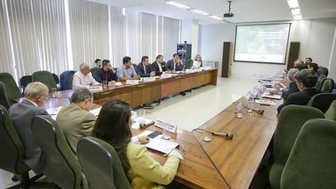 ABCZ participa da reunião da Câmara Setorial da Cadeia Produtiva de Carne Bovina