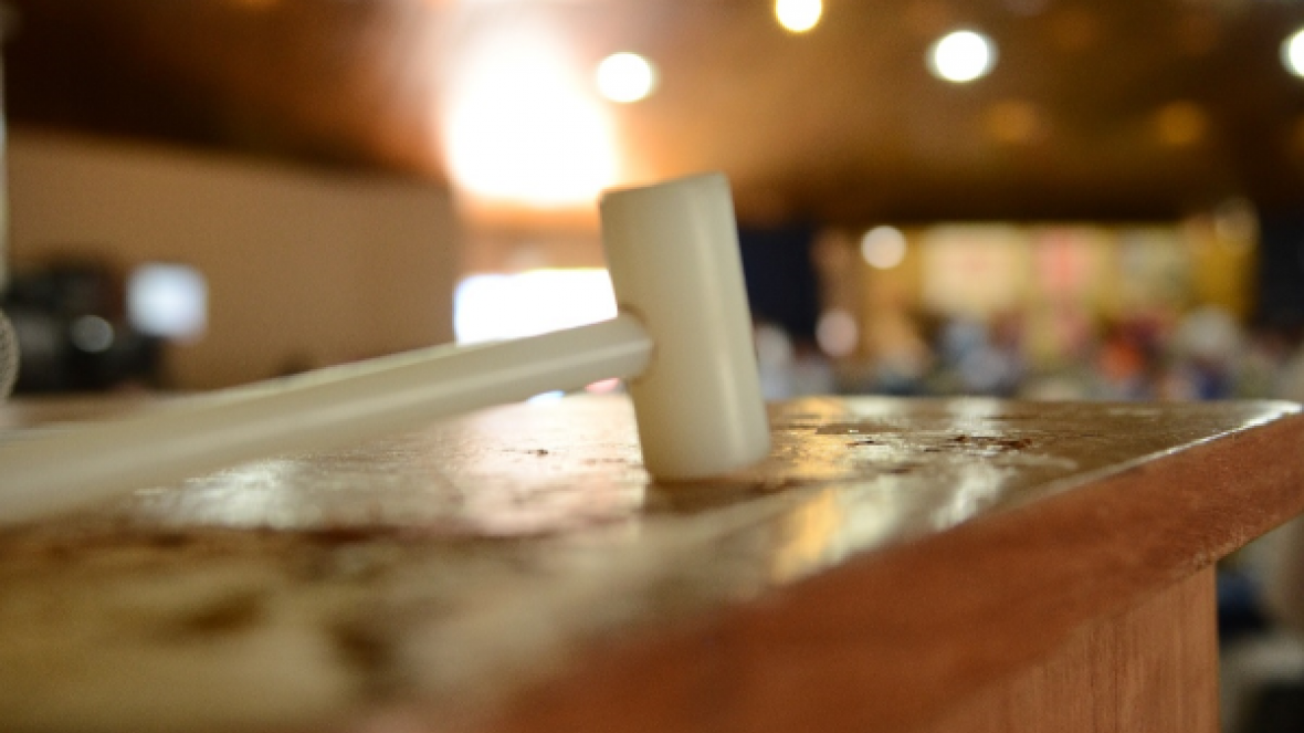 Leilões da ExpoGenética movimentaram mais de R$ 19 milhões