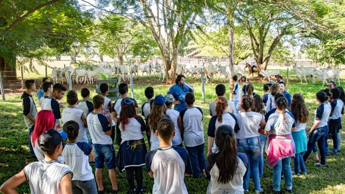 Museu do Zebu promove produção do conteúdo para a revista ?Turma do Zebuzinho?