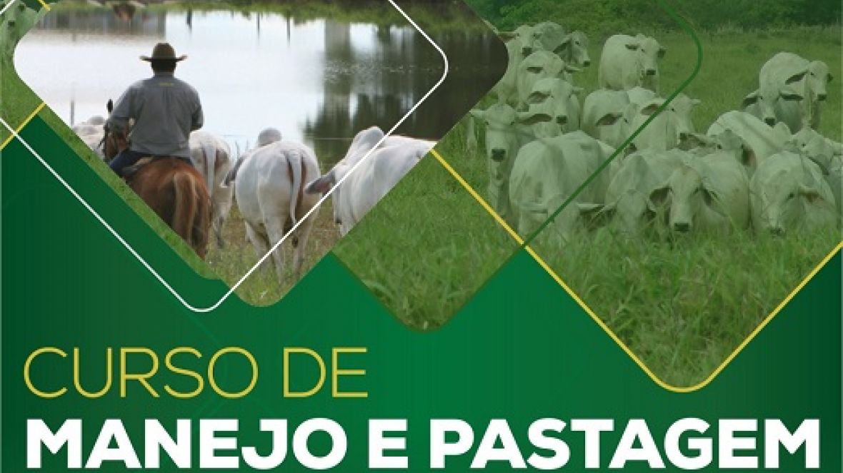 ABCZ e Senar Minas realizam curso gratuito de formação e manejo de pastagens