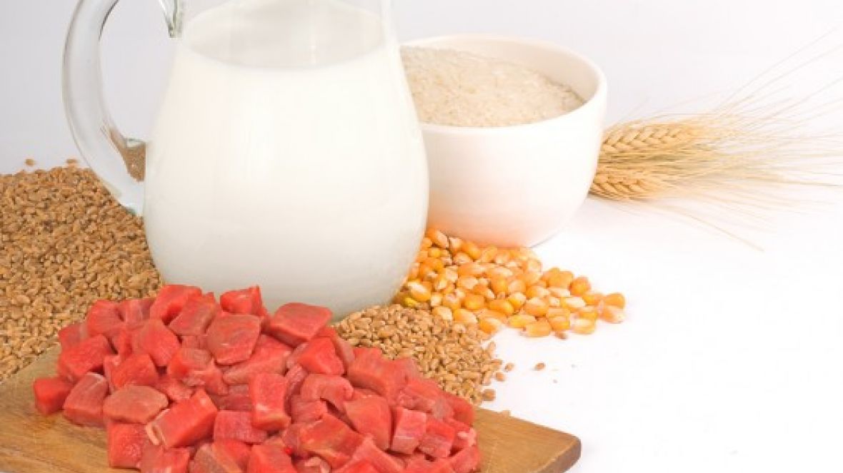Receita de um grande carnaval