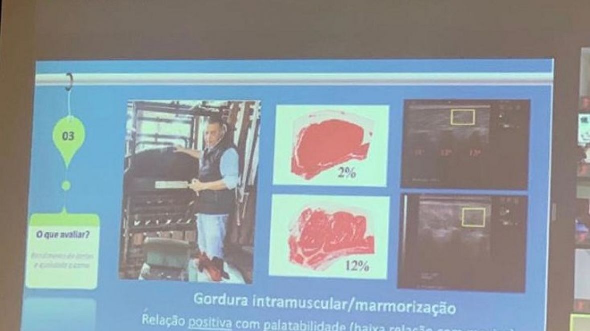 ABCZ promove treinamento virtual para Técnicos de Campo da entidade
