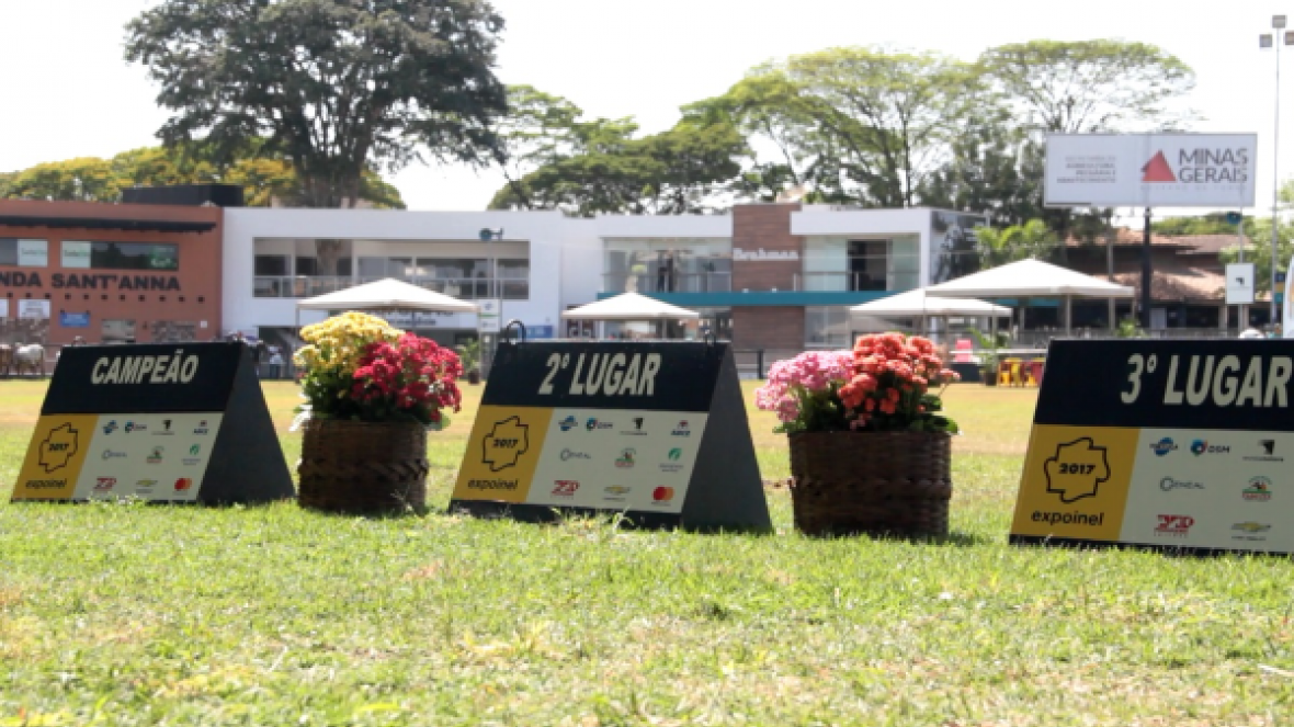 Grandes campeonatos da Expoinel, ExpoBrahman e ExpoGil serão definidos no fim de semana
