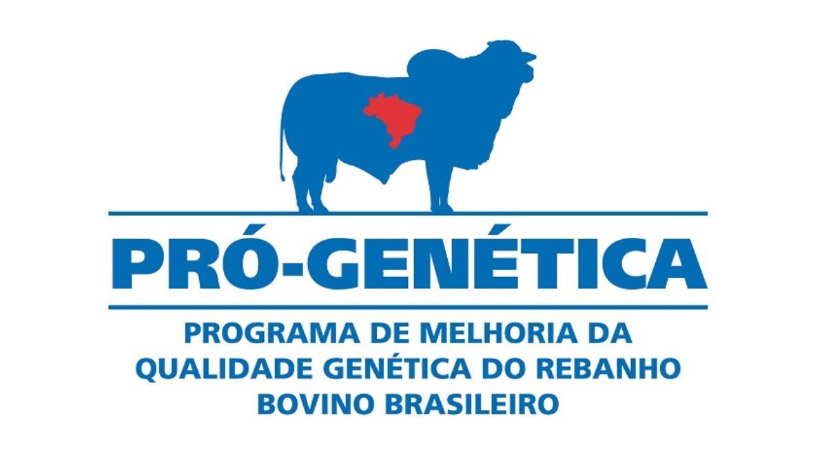 Leilão Indústria de Touros da Rima – Etapa Riachinho acontecerá neste domingo (31)
