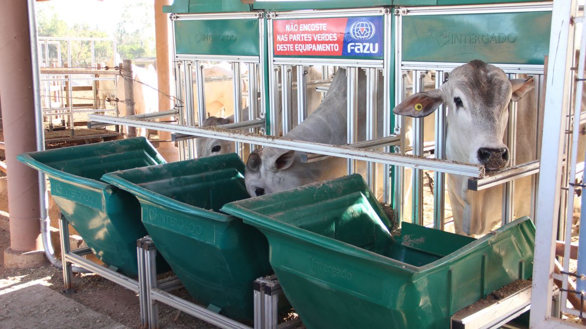 Inscrições para o PNAT 2022 terminam na próxima sexta-feira (25)