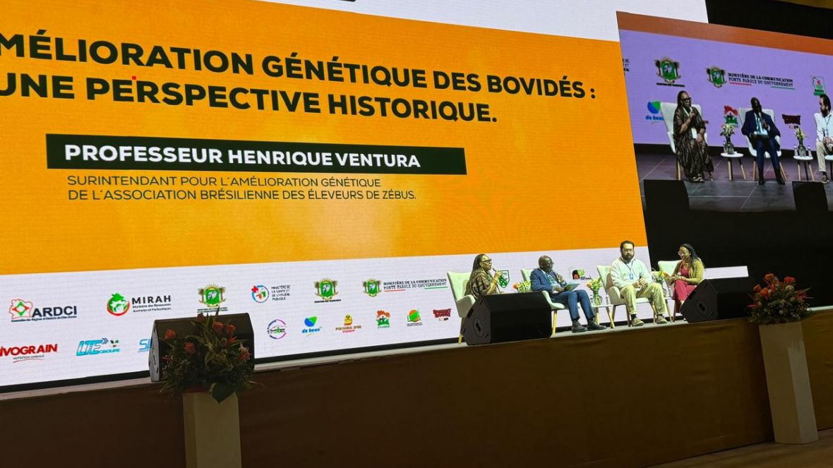 História do melhoramento genético de zebuínos no Brasil é tema de palestra na Costa do Marfim