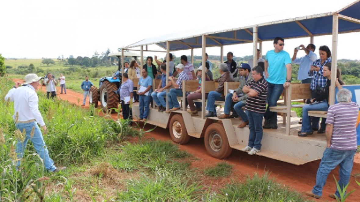 Técnicos da Emater recebem treinamento sobre ILPF na Estância OT