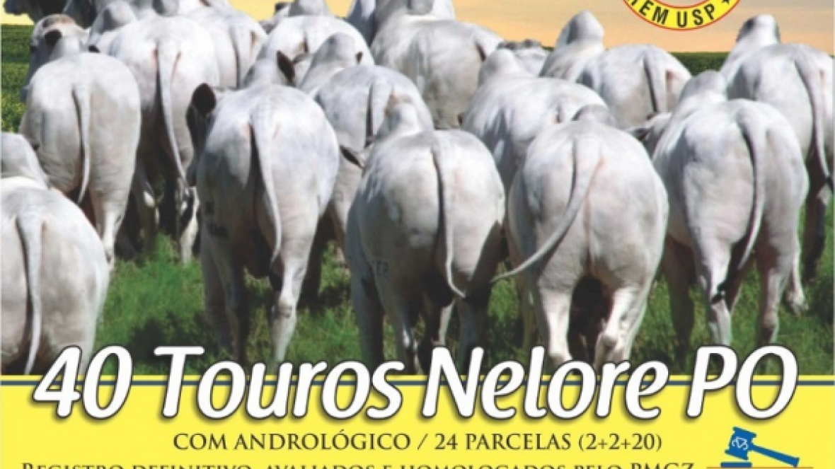 ?11º Leilão Fazenda Nativa? será realizado no próximo sábado (21)
