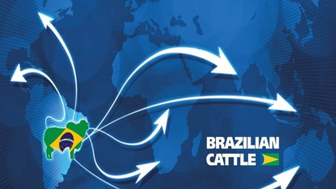 ABCZ e Apex iniciam ciclo de reuniões estratégicas com participantes do Brazilian Cattle