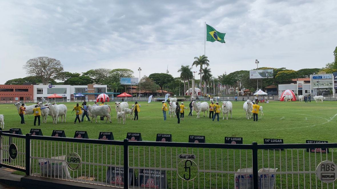 Expoinel 2025 acontece de 13 a 19 de outubro, em Uberaba (MG)