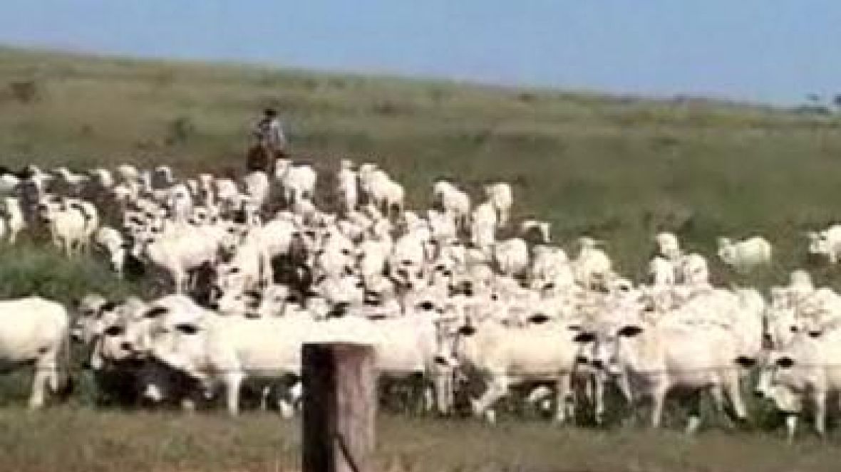 Sistema de manejo rotacionado é tema do Agrocurso neste final de semana