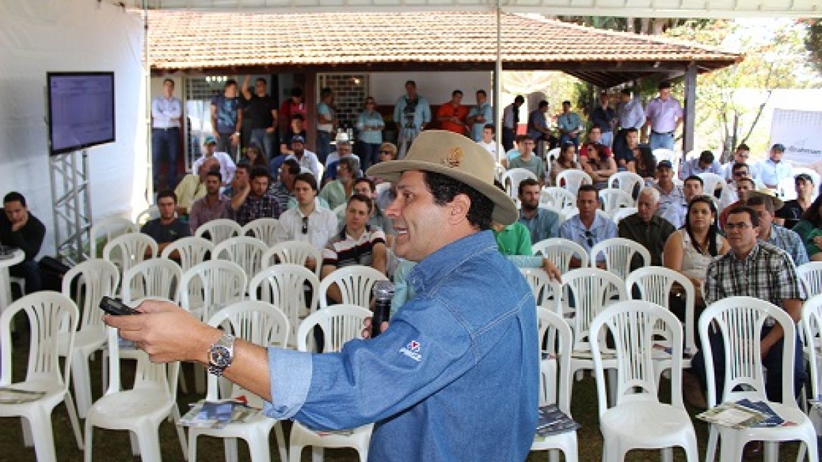 ABCZ e Uberbrahman promovem 2º Dia de Campo do PMGZ-Pastagens 