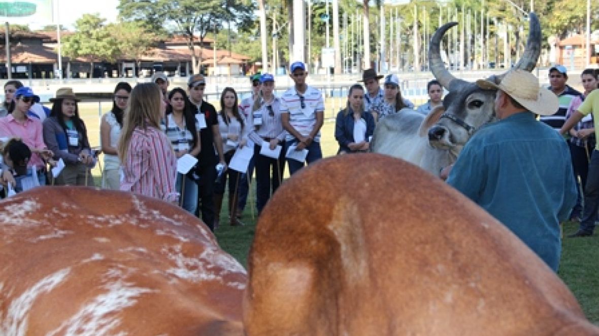 Curso de Julgamento atrai 117 para Uberaba