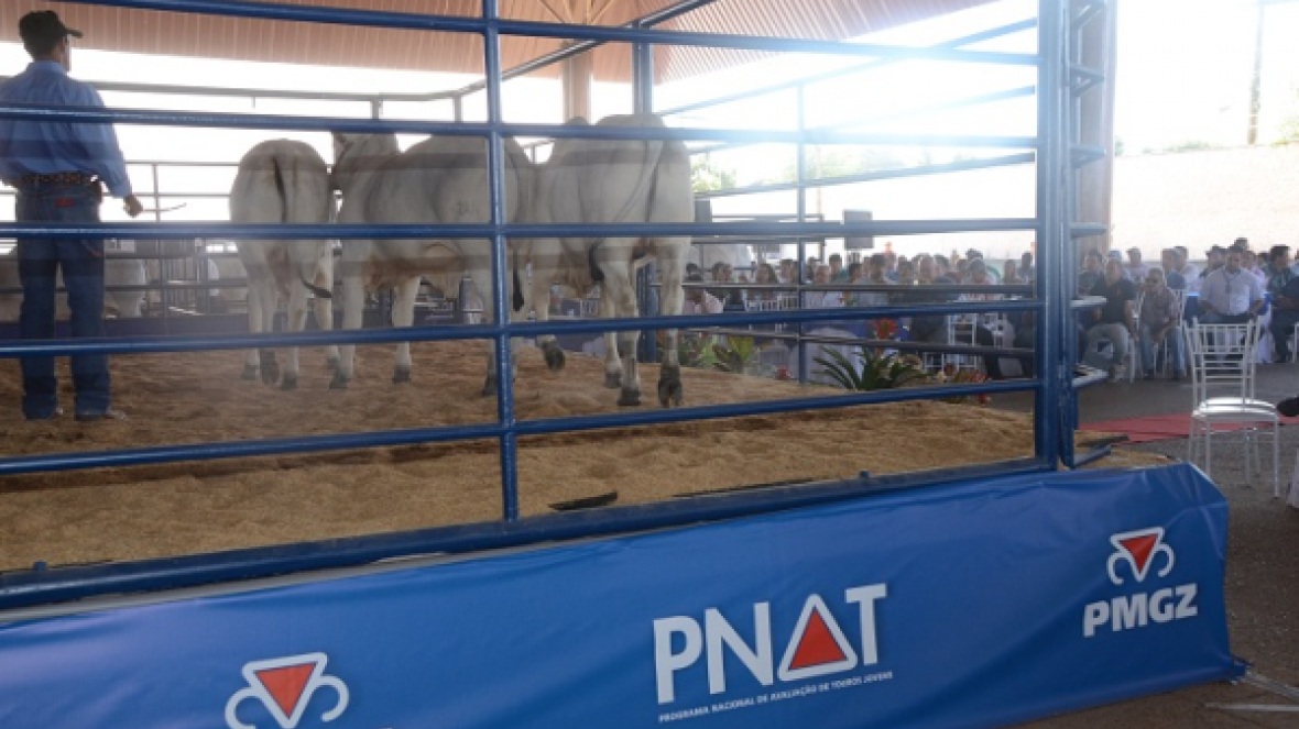 Eleitos da 6ª bateria do PNAT são apresentados na ExpoGenética