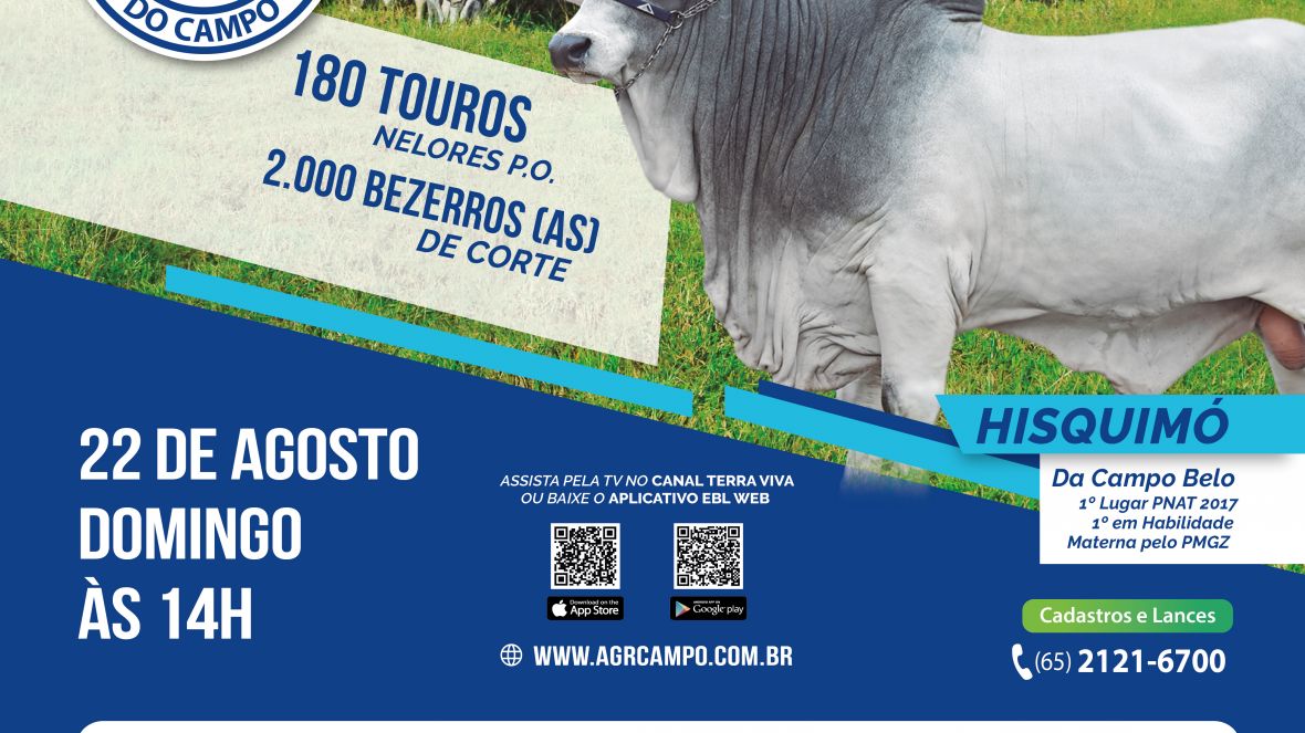 5º Leilão Virtual Agropecuária do Campo ofertará 168 exemplares de Nelore