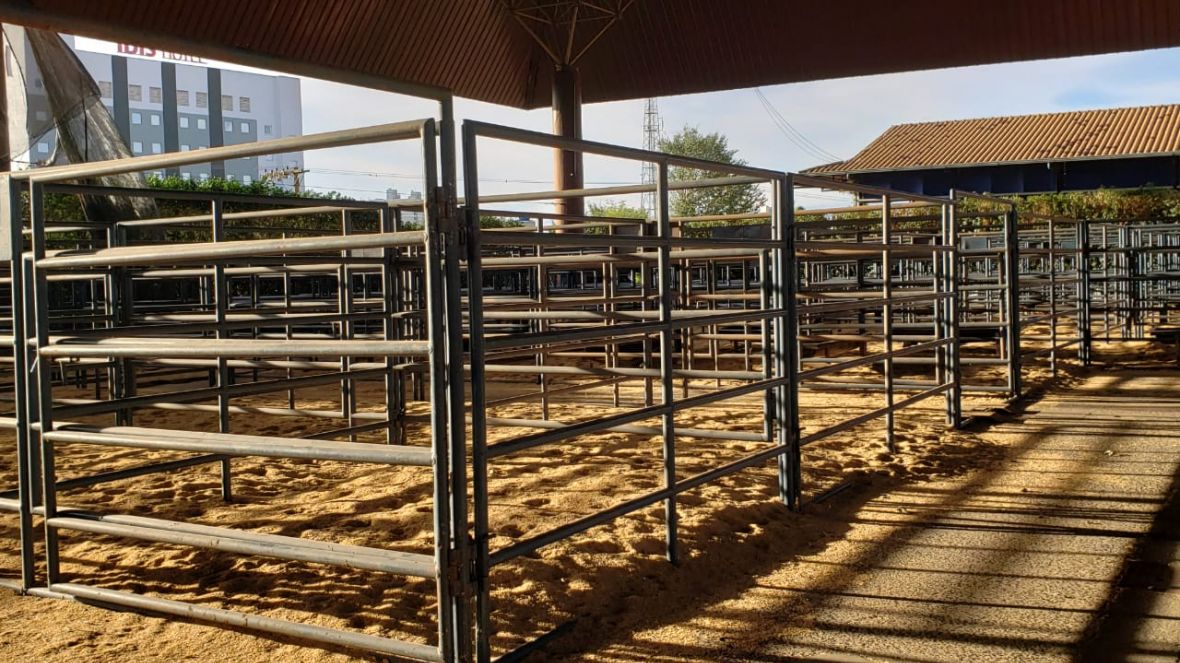 PNAT 2022: Touros classificados no TDEA chegam ao Parque Fernando Costa no dia 19