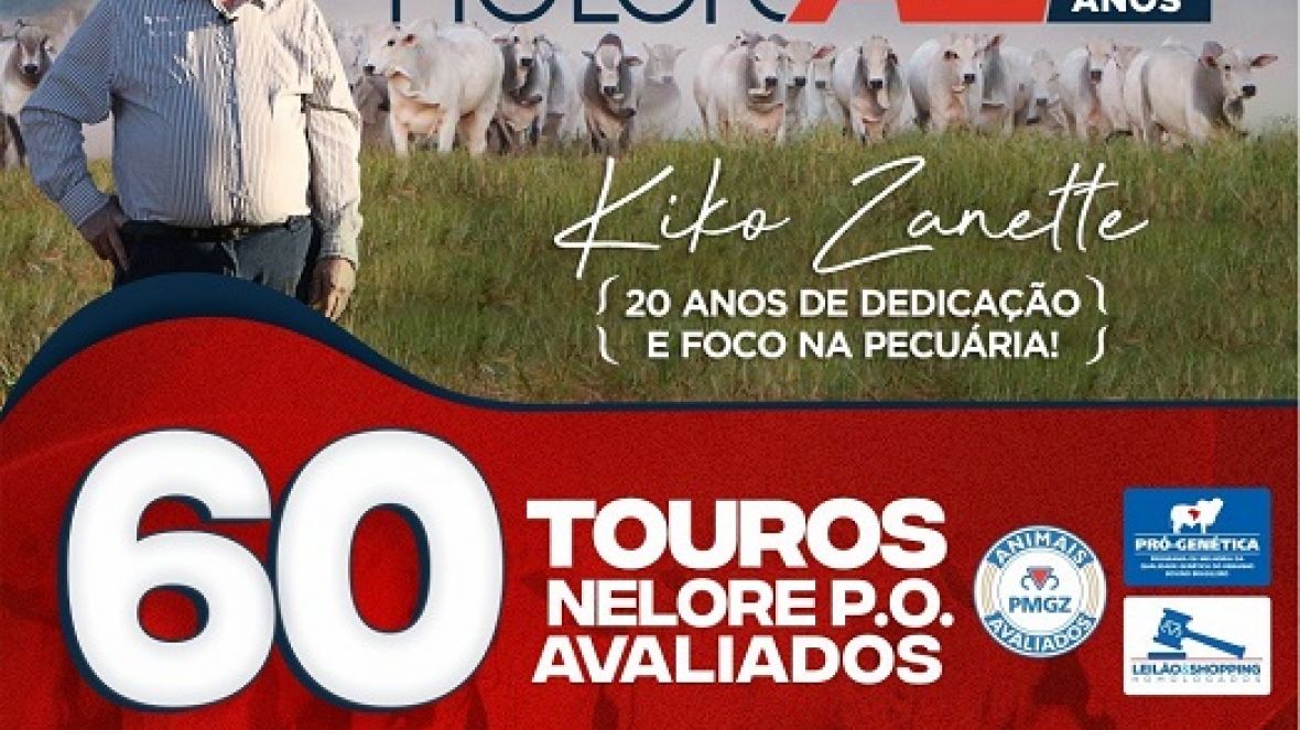 ?Leilão Virtual Nelore AZ - 20 Anos? ofertará 60 touros melhoradores