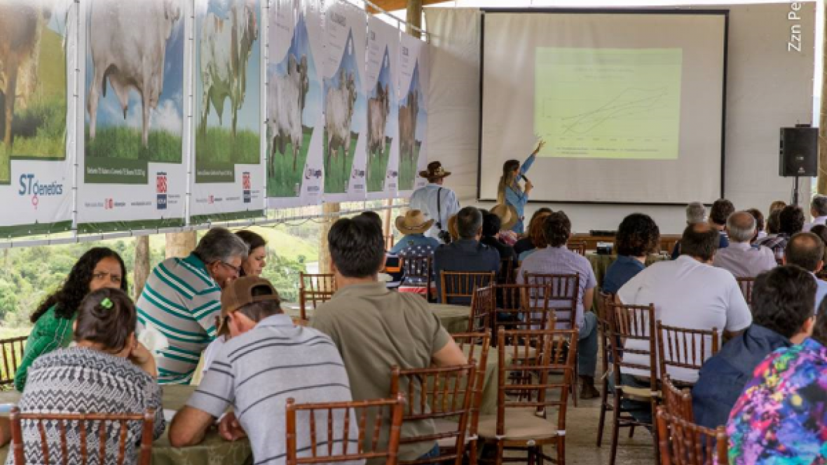 Gir Leiteiro e leite A2 são protagonistas em Dia de Campo