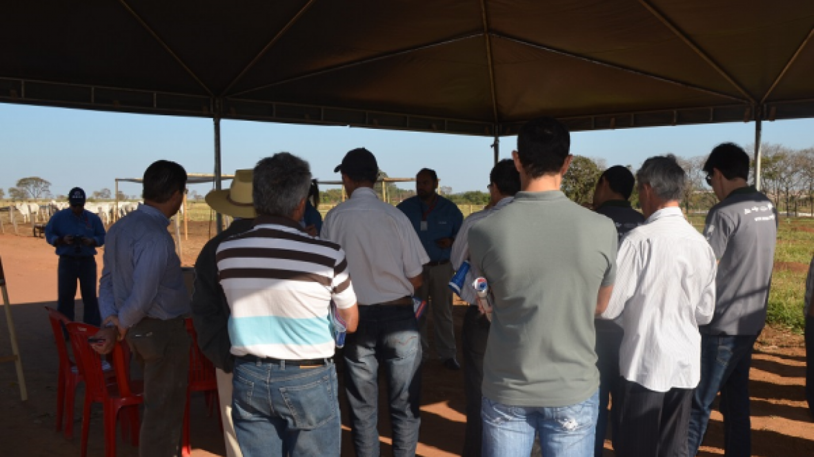 Dias de campo já movimentam Estância Orestes Prata Tibery Júnior