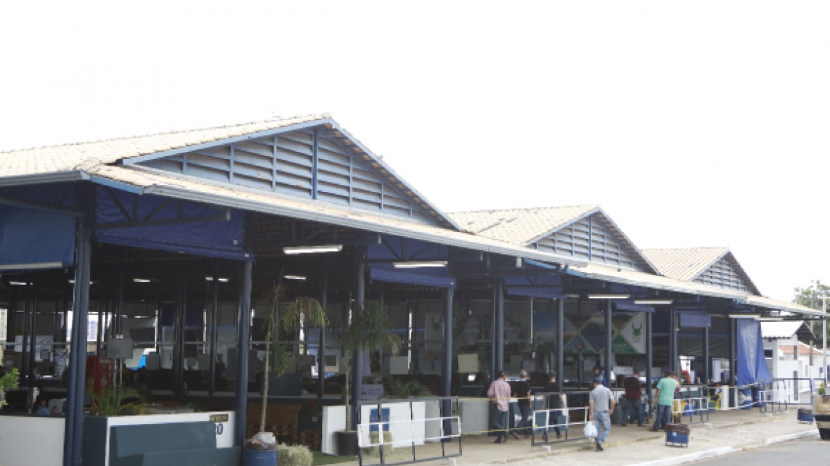 ExpoZebu 2018: Criadores e tratadores comemoram novos pavilhões para gado leiteiro