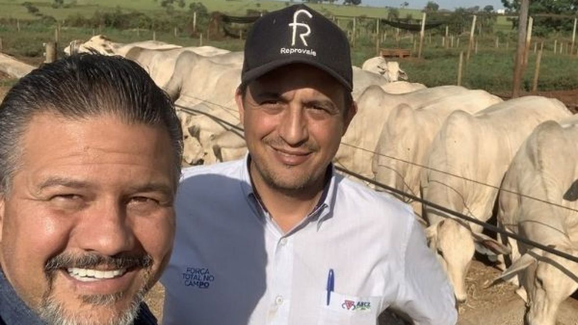 Gerente de Fomento do PMGZ acompanha registro de zebuínos na USP