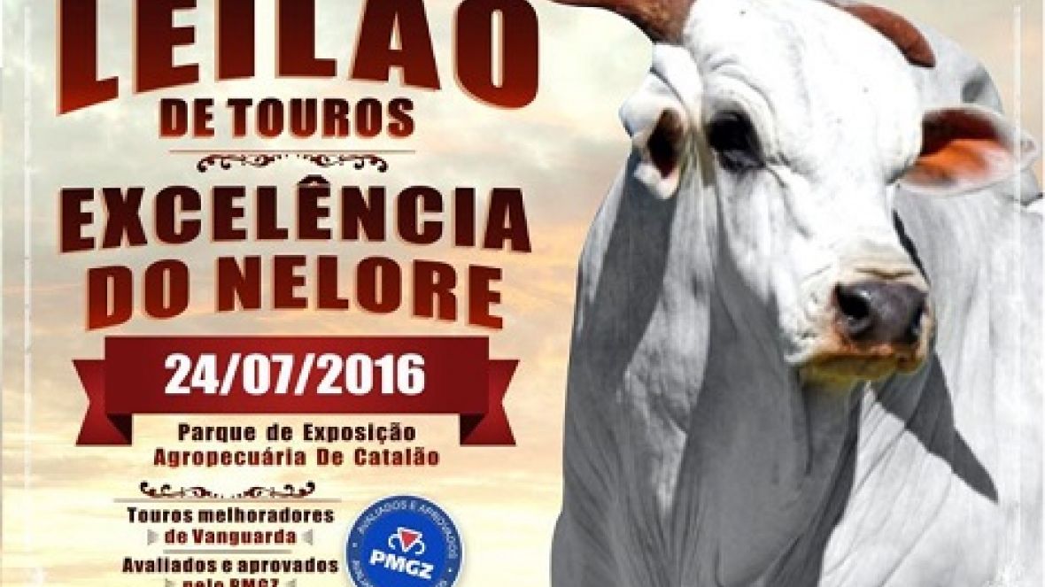 Leilão de Touros Excelência do Nelore oferta genética avaliada pelo PMGZ