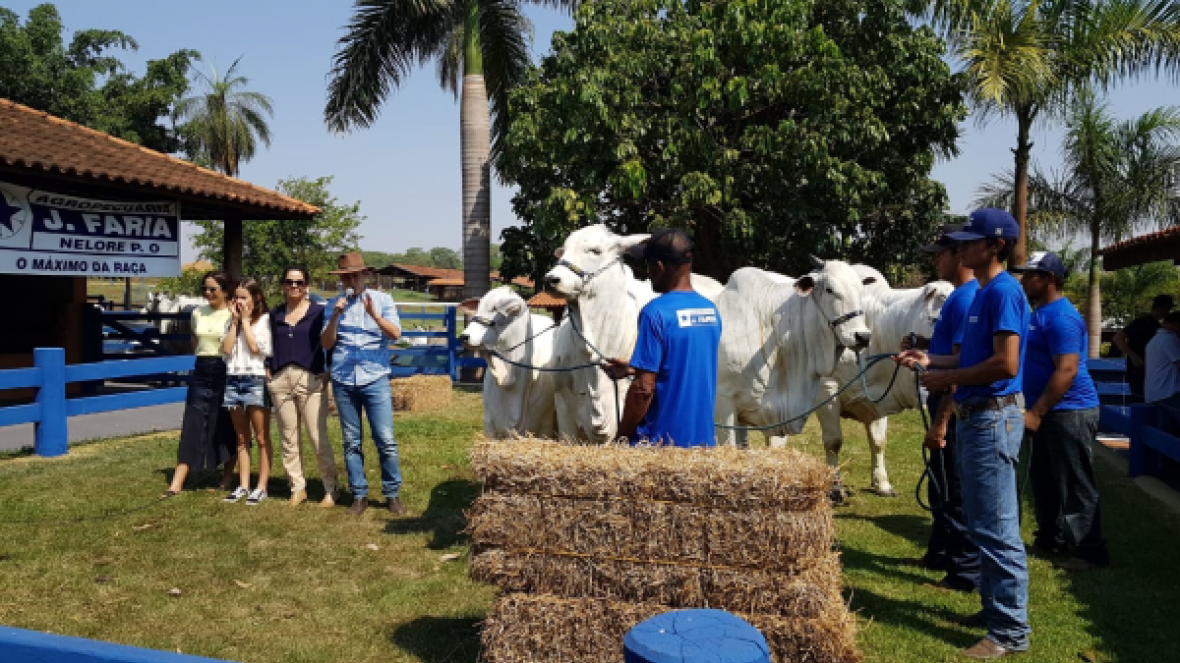ABCZ prestigia Dia de Campo da Agropecuária J. Faria