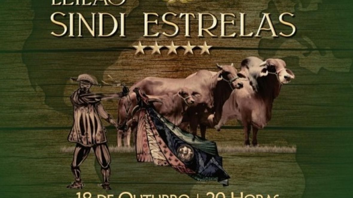 Leilão Sindi chancelado pelo Pró-Genética é destaque na Festa do Boi
